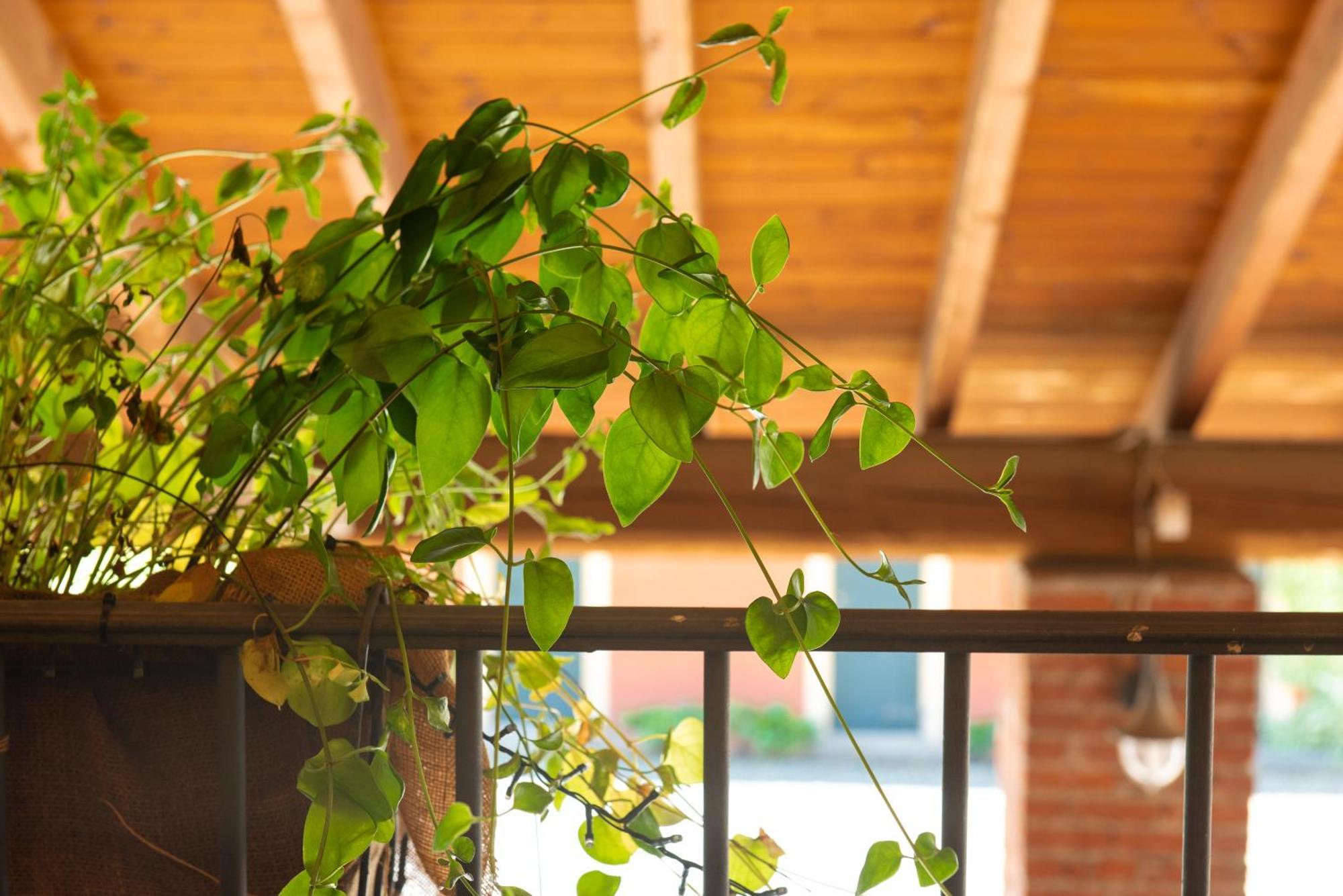 Country House Cascina Orto Pasturana Exterior photo